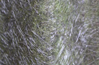 The Chart fibreglass roof work